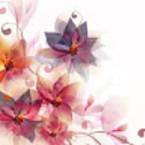 Meet your Posher, Ivette